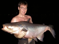 Mekong Giant Catfish Fishing Thailand