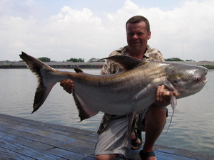 Chao Phraya catfish from Bungsamran Lake in Bangkok Thailand