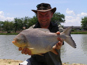 pacu fishing in Thailand