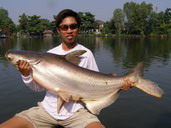 fishing in thailand