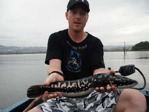 snakehead fishing Khao Laem Dam