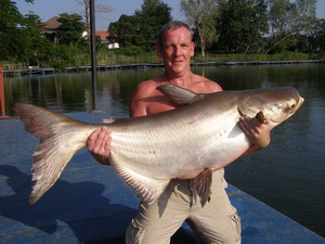 Mekong giant catfish fishing Bangkok