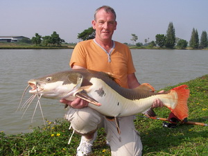 Redtail fishing Thailand