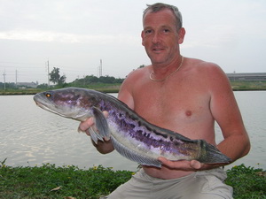 Snakehead Fishing in Thailand
