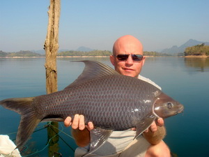 Black carp fishing in Thailand at Khao Laem Dam