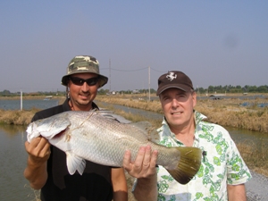 Barramundi fishing in Thailand