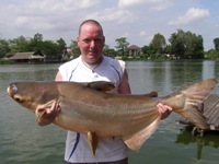 Mekong giant catfish from Bungsamran Lake fishing in Bangkok