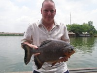 Pacu fishing Bangkok
