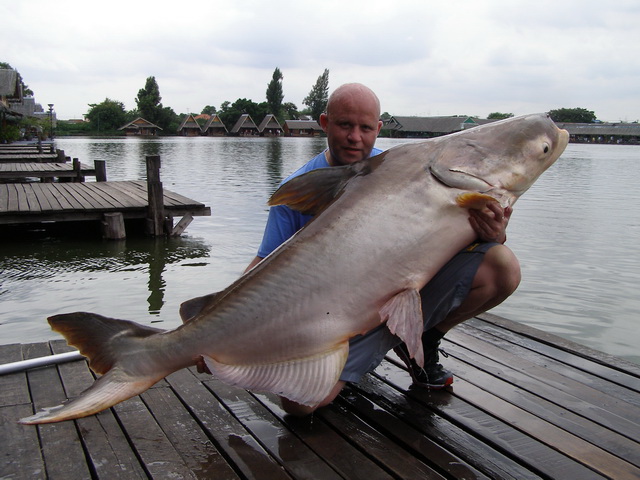 160lb Mekong catfish caught by Steve Parfitt fishing in Thailand