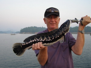 Snakehead fishing Thailand
