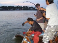 Feshwater stingray fishing in Thailand on the Mae Klong River