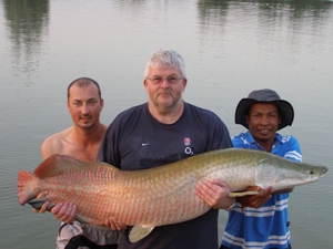 Arapaima fishing Thailand