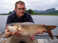 Indian carp fishing in Thailand - rohu fishing kanchanaburi Thailand
