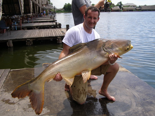 Mekong giant Catfish fishing Thailand