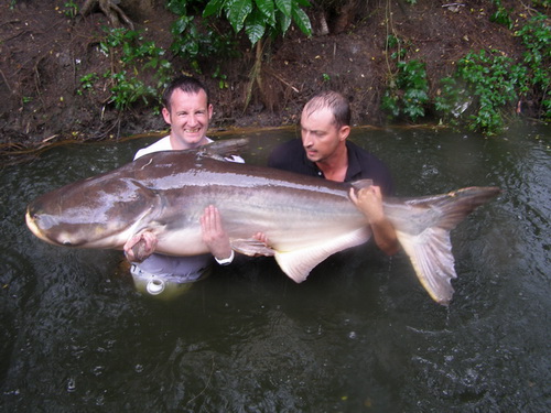 170lb Mekong Catfish