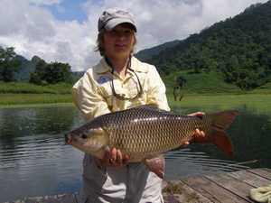 Rohu fishing Thailand