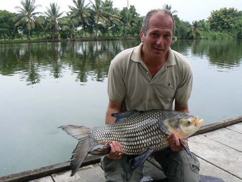Shadow Lake fishing in Bangkok produces lovely Siamese Carp like this guided by Fish Thailand