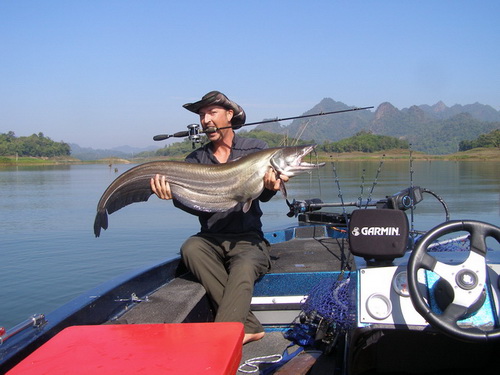 Jungle wallago (sheatfish) fishing in Thailand's jungle of Khao Laem Dam