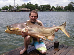 105lb Mekong Catfish Caught Fishing in Thailand