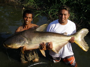 fishing thailand guide