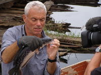Jeremy Wade fishing in Thailand for giant snakehead