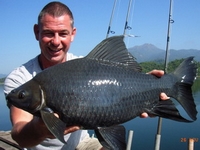 Black Carp or 'Black Shark' fishing in Thailand