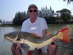 Amazon redtail catfish