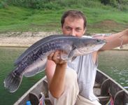 lure fishing in Thailand at Khao Laem Dam