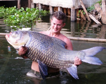 http://www.fishthailand.co.uk/images/siamese_carp_bungsamran.jpg
