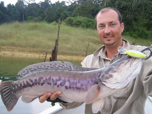 lure fishing for snakehead in Temenggor Dam 