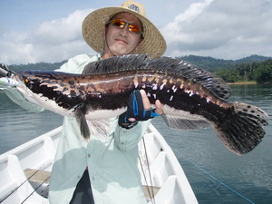 lure fishing for snakehead in Temenggor Dam