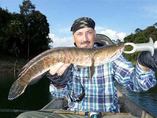 snakehead fishing in thailand at cheow lan dam