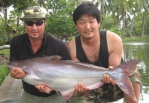 Record Striped Catfish Fishing Bangkok