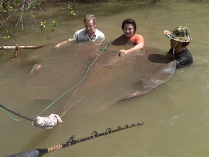 Robson Green freshwater stingray fishing in Thailand