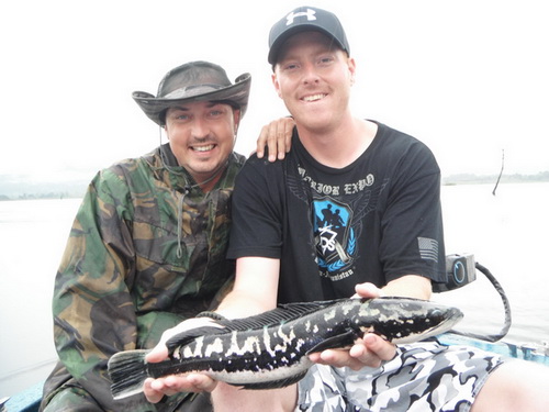 Jungle Snakehead Fishing Thailand